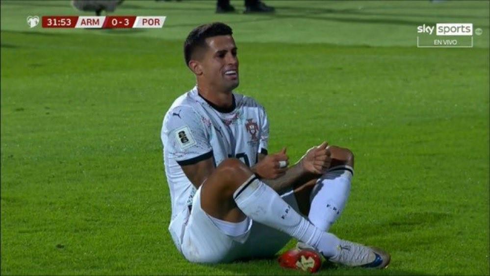 九游-致敬若塔，坎塞洛世预赛进球后做出按手柄庆祝动作